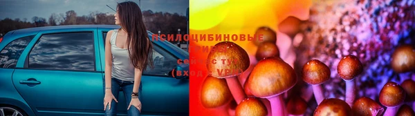 тгк Михайлов