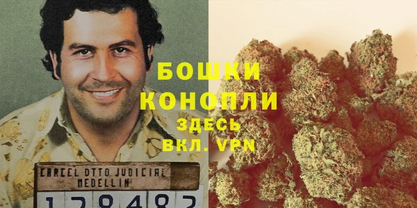 тгк Михайлов