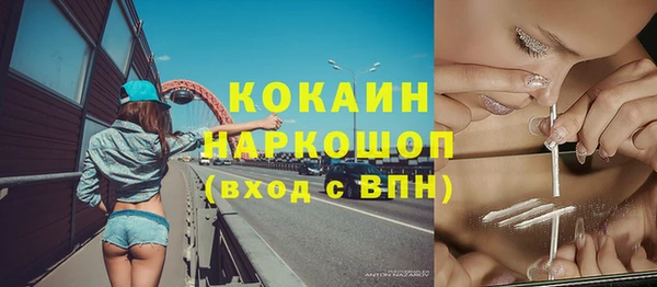 тгк Михайлов